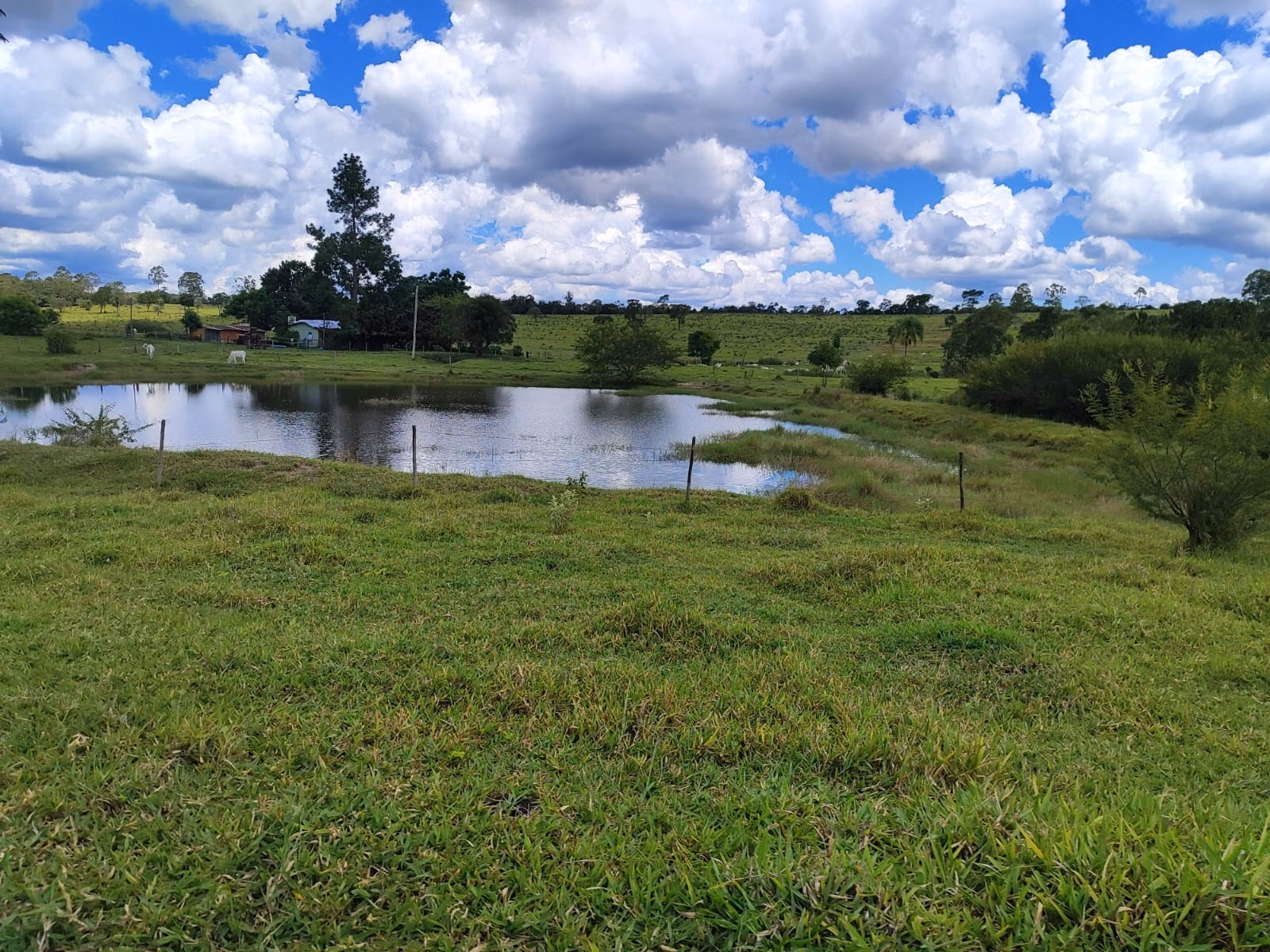 Fazenda de 711 ha em Botucatu, SP