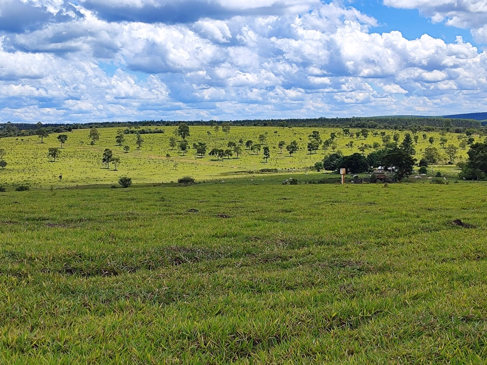 Fazenda de 711 ha em Botucatu, SP