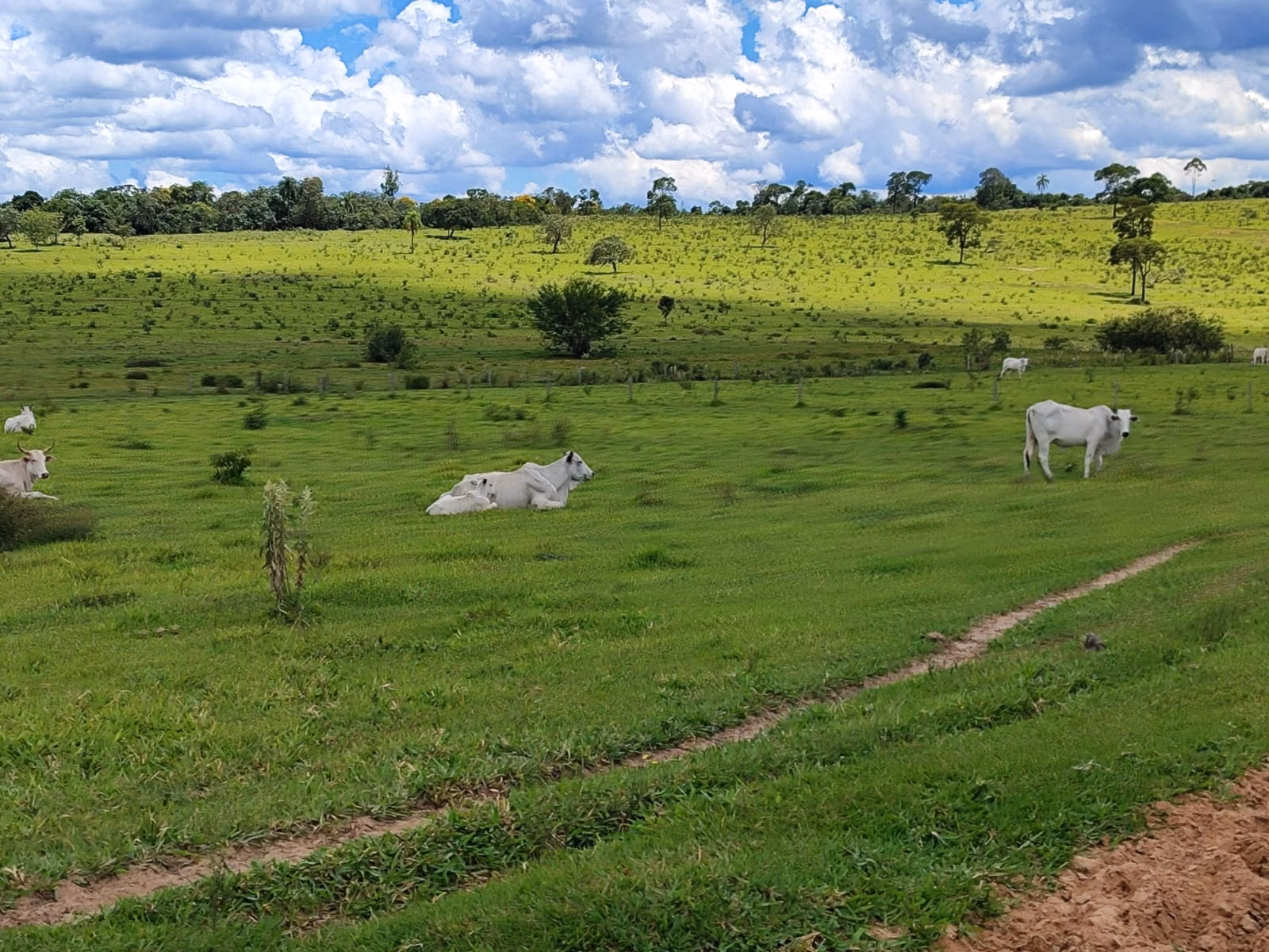 Fazenda de 711 ha em Botucatu, SP