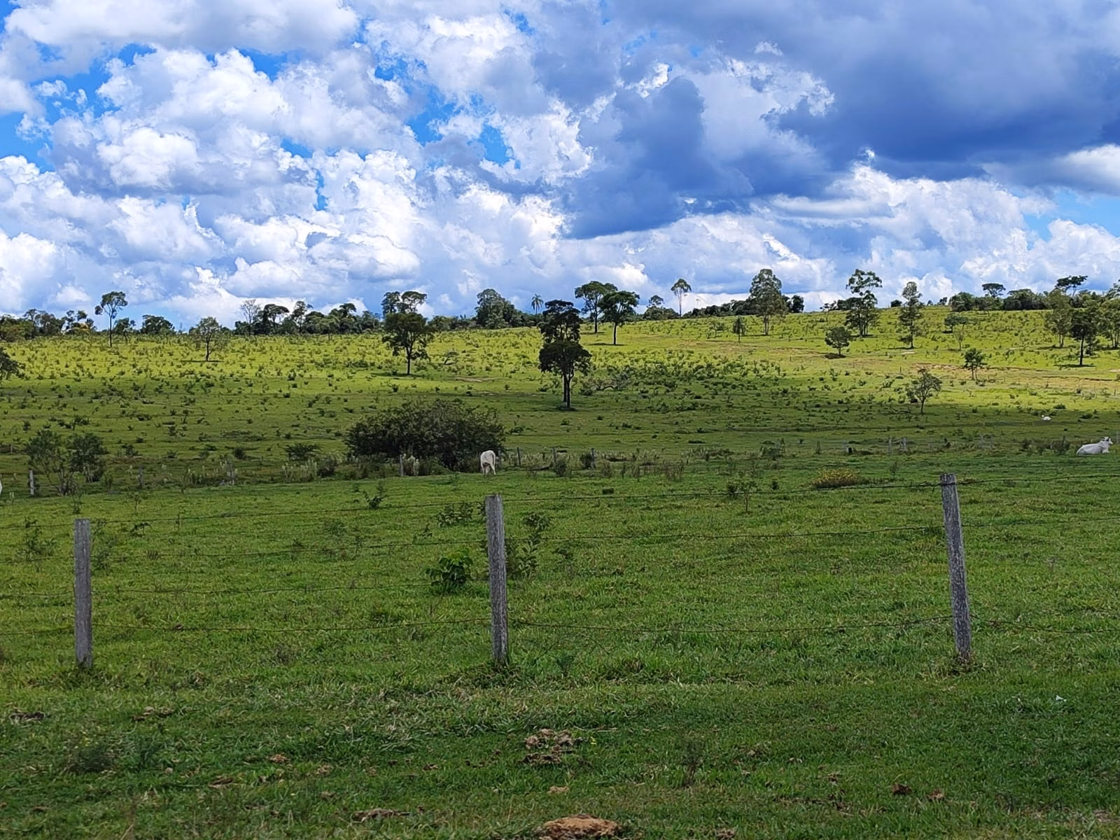 Fazenda de 711 ha em Botucatu, SP