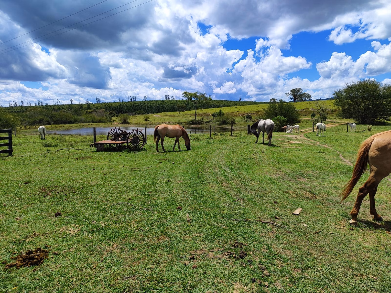 Farm of 1.758 acres in Botucatu, SP, Brazil