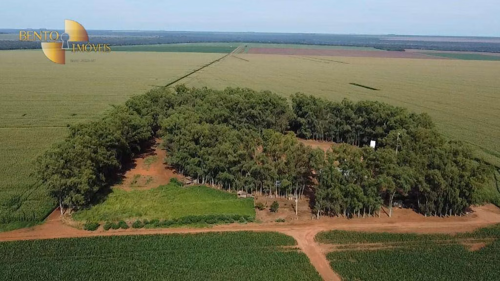 Fazenda de 3.103 ha em Campo Novo do Parecis, MT