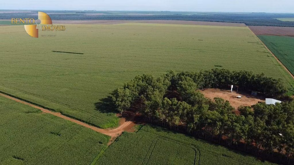 Fazenda de 3.103 ha em Campo Novo do Parecis, MT