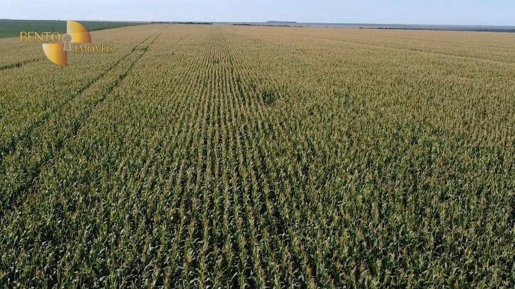 Fazenda de 3.103 ha em Campo Novo do Parecis, MT