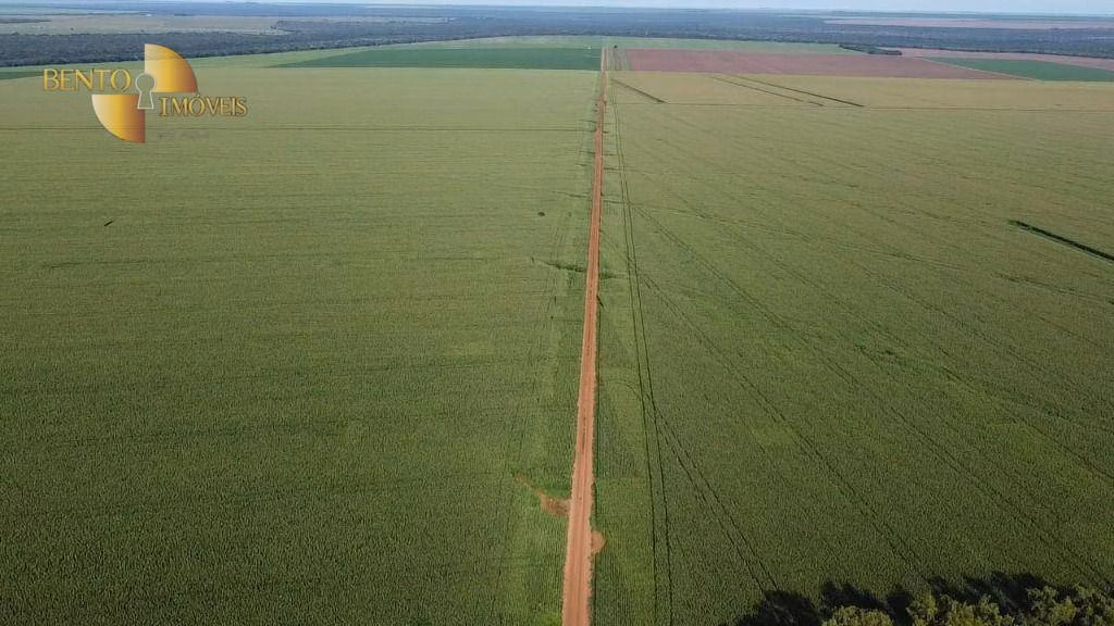 Fazenda de 3.103 ha em Campo Novo do Parecis, MT