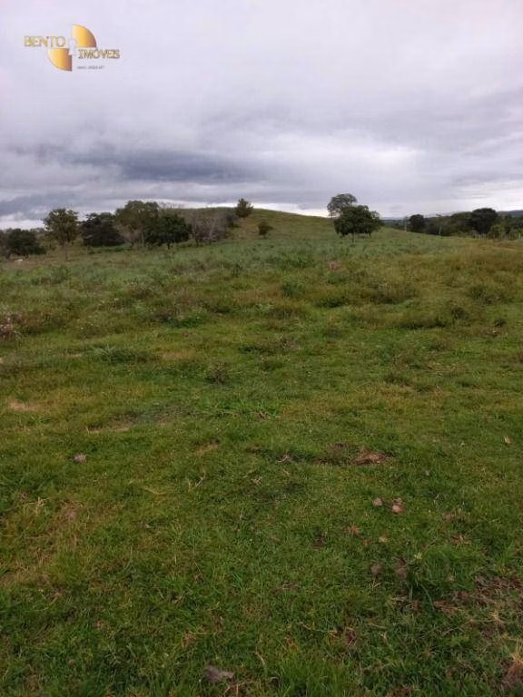Fazenda de 322 ha em Nova Brasilândia, MT