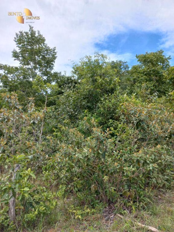 Fazenda de 322 ha em Nova Brasilândia, MT