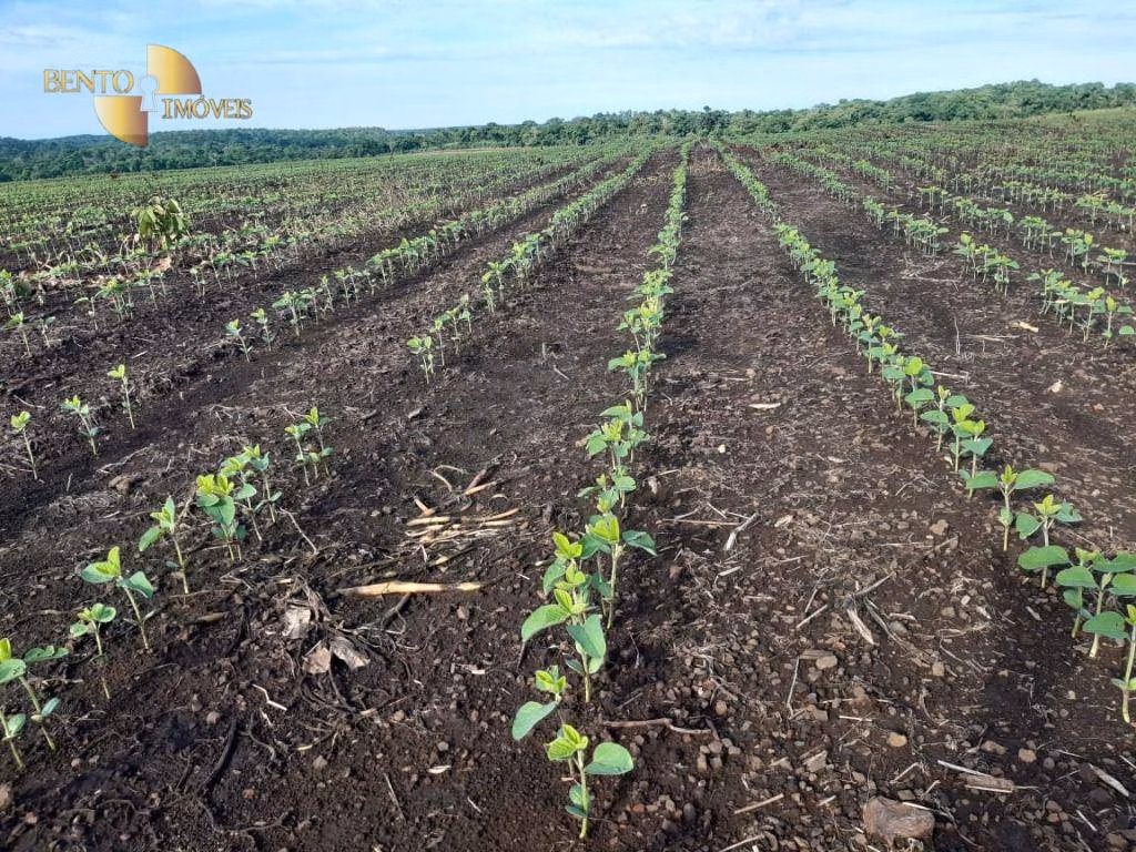 Fazenda de 1.678 ha em Ribeirão Cascalheira, MT