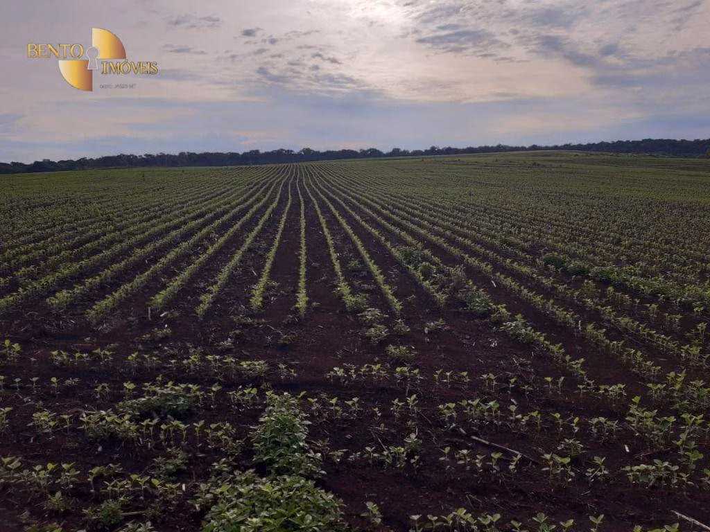Fazenda de 1.678 ha em Ribeirão Cascalheira, MT