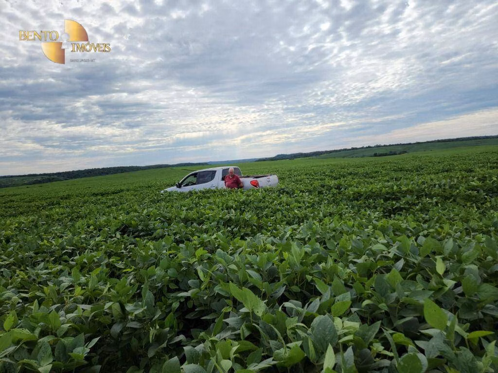 Fazenda de 1.678 ha em Ribeirão Cascalheira, MT