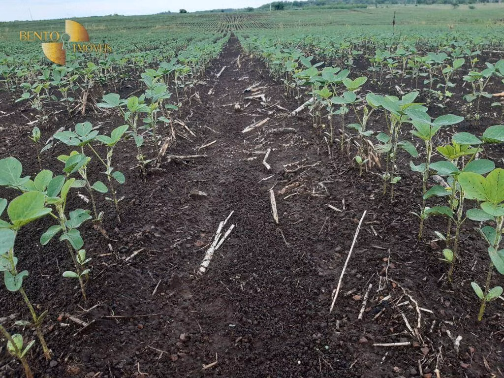 Fazenda de 1.678 ha em Ribeirão Cascalheira, MT