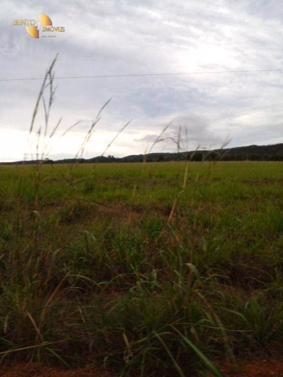 Fazenda de 7.430 ha em Nova Mutum, MT