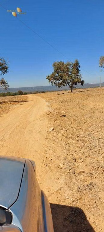 Fazenda de 7.430 ha em Nova Mutum, MT