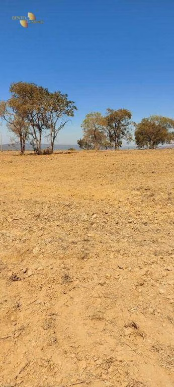 Fazenda de 7.430 ha em Nova Mutum, MT