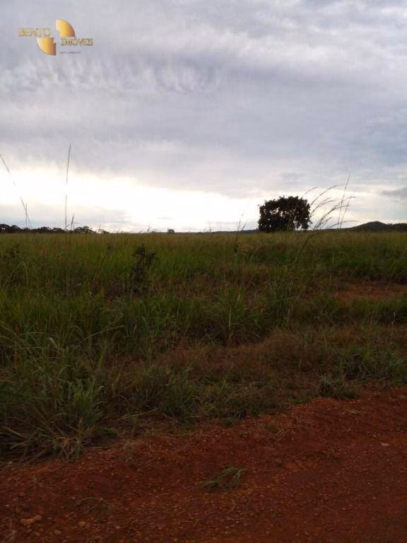 Fazenda de 7.430 ha em Nova Mutum, MT