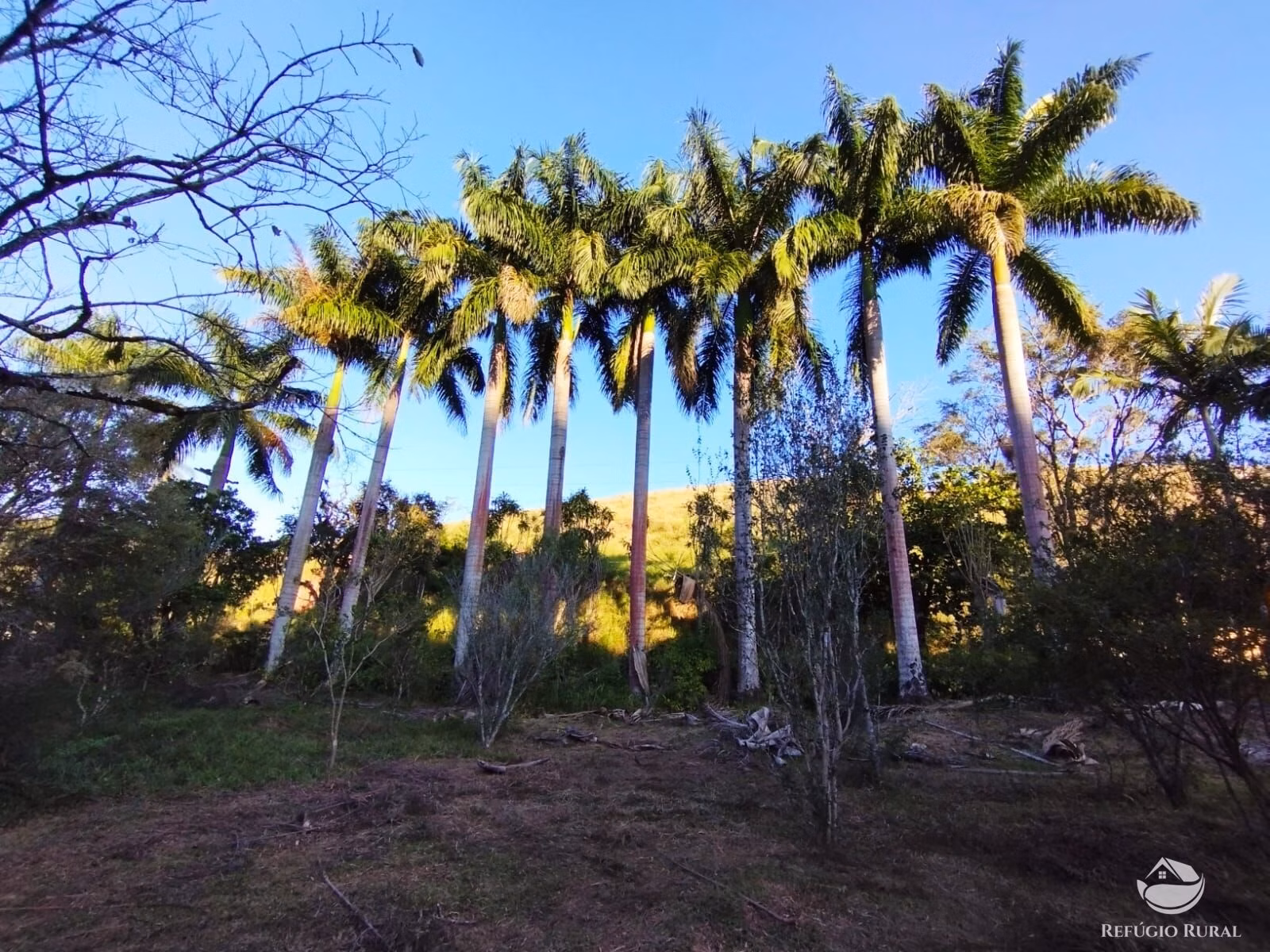 Farm of 670 acres in São José dos Campos, SP, Brazil