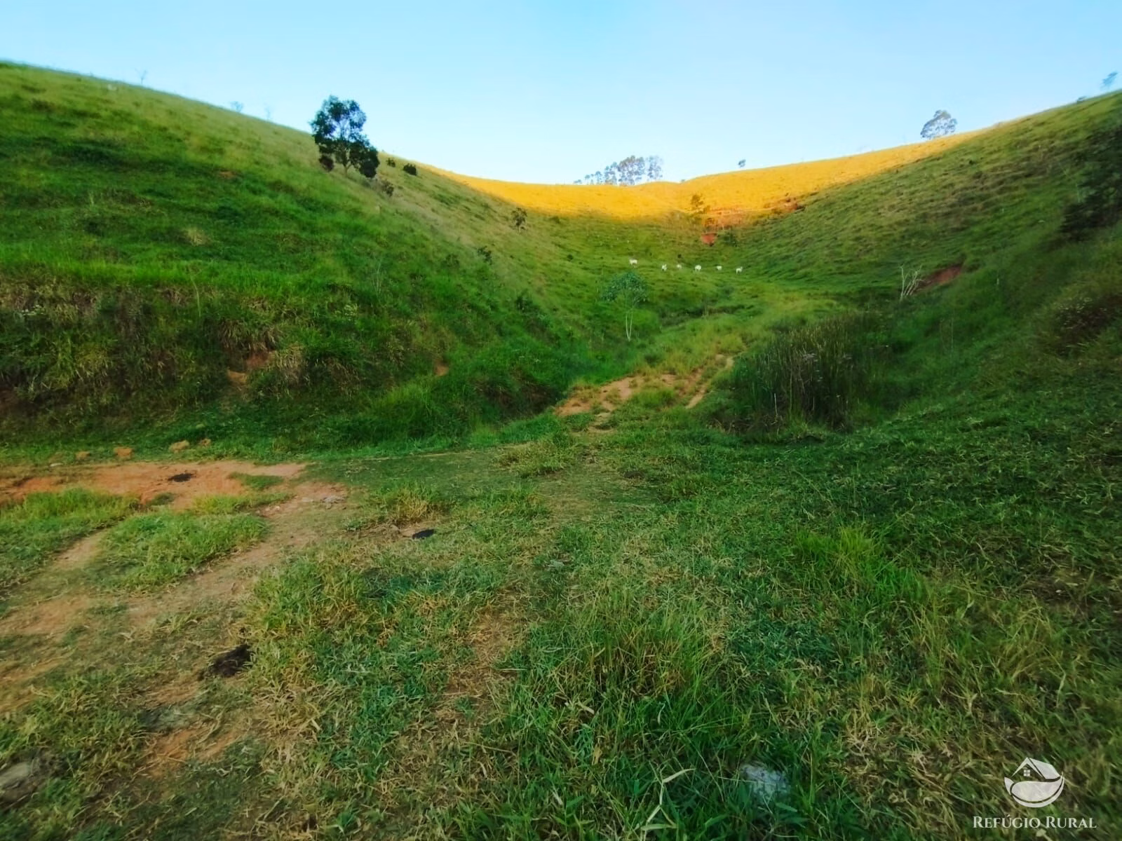 Farm of 670 acres in São José dos Campos, SP, Brazil