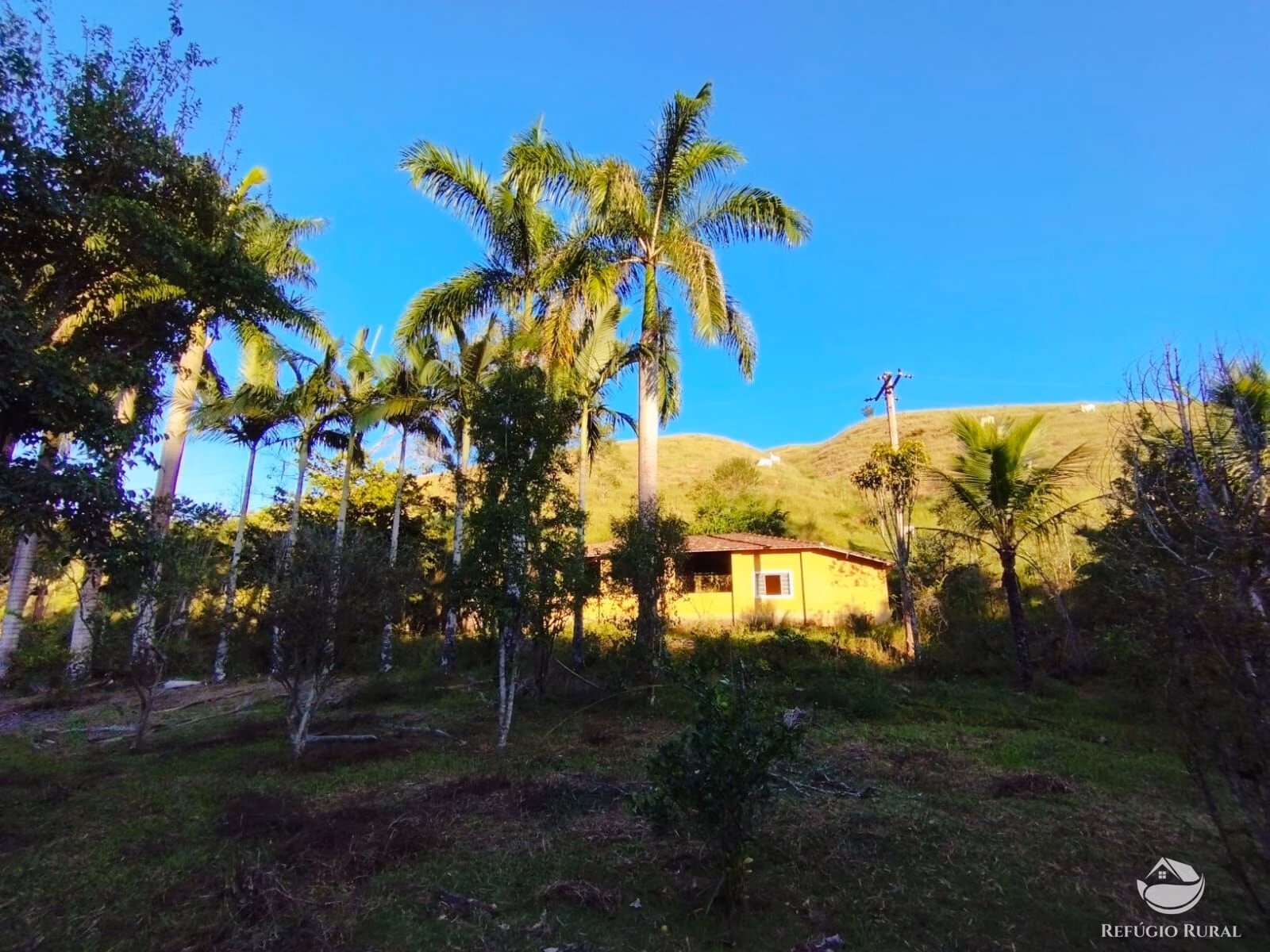 Farm of 670 acres in São José dos Campos, SP, Brazil