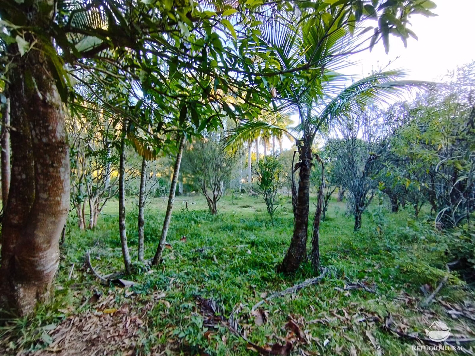 Farm of 670 acres in São José dos Campos, SP, Brazil