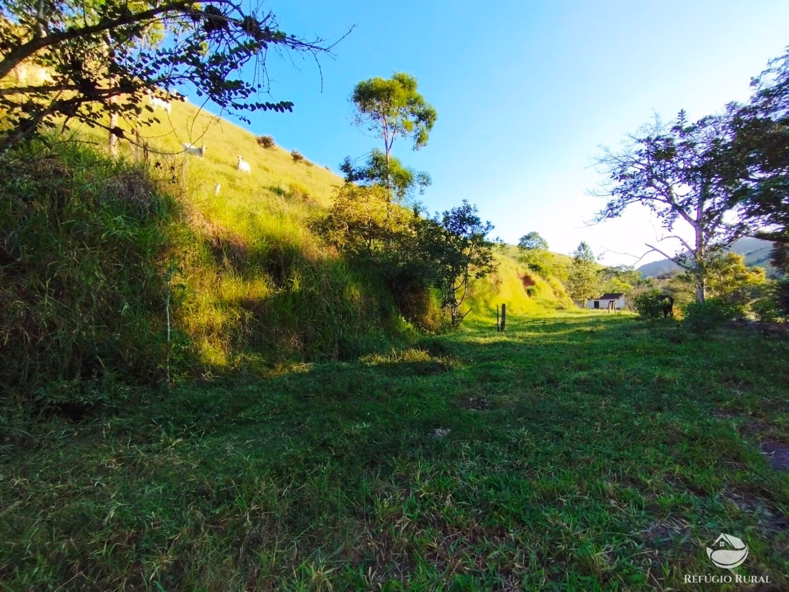 Farm of 670 acres in São José dos Campos, SP, Brazil