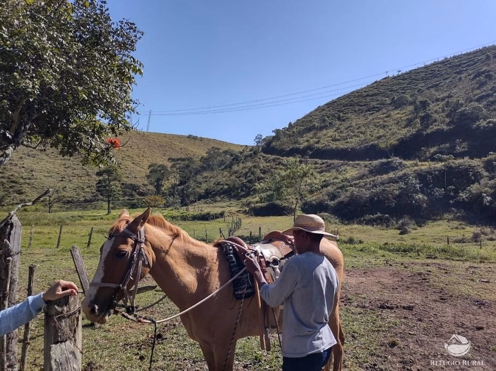 Fazenda de 271 ha em São José dos Campos, SP