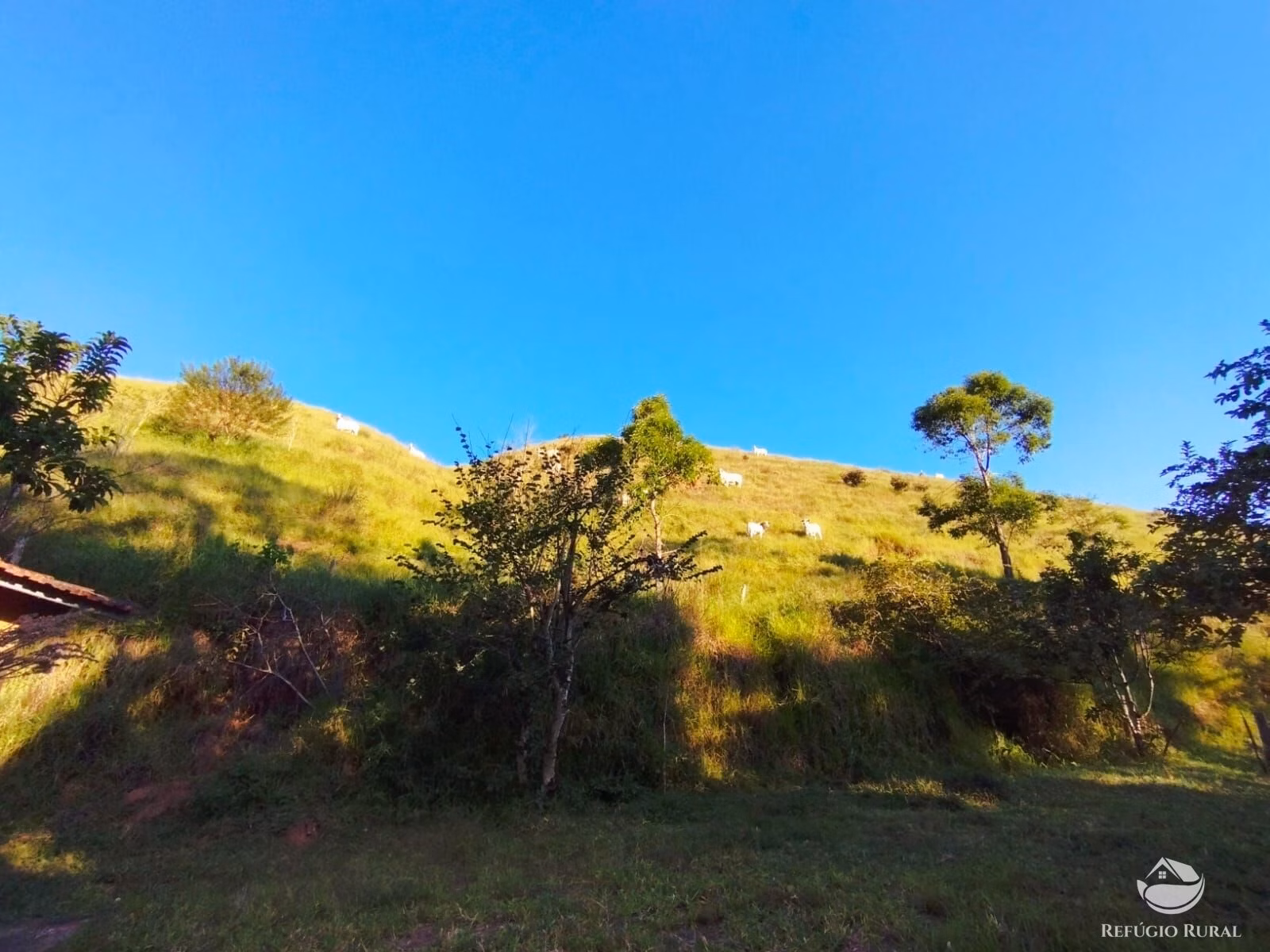 Farm of 670 acres in São José dos Campos, SP, Brazil