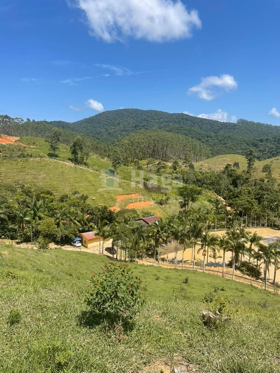 Fazenda de 13 ha em Canelinha, SC