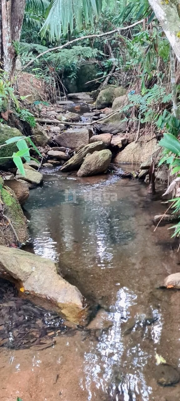 Fazenda de 13 ha em Canelinha, SC