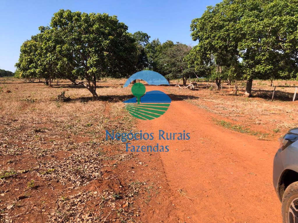 Fazenda de 1.258 ha em Palmeirópolis, TO