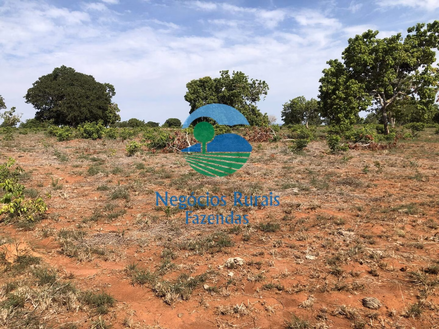 Fazenda de 1.258 ha em Palmeirópolis, TO
