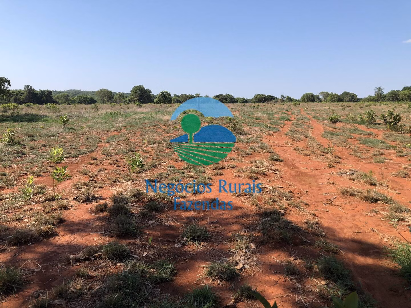 Fazenda de 1.258 ha em Palmeirópolis, TO