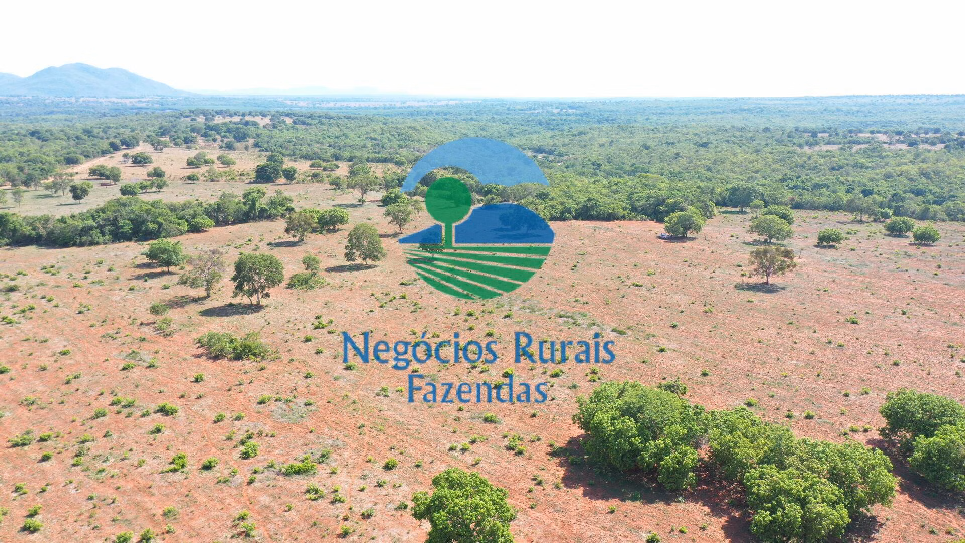 Fazenda de 1.258 ha em Palmeirópolis, TO