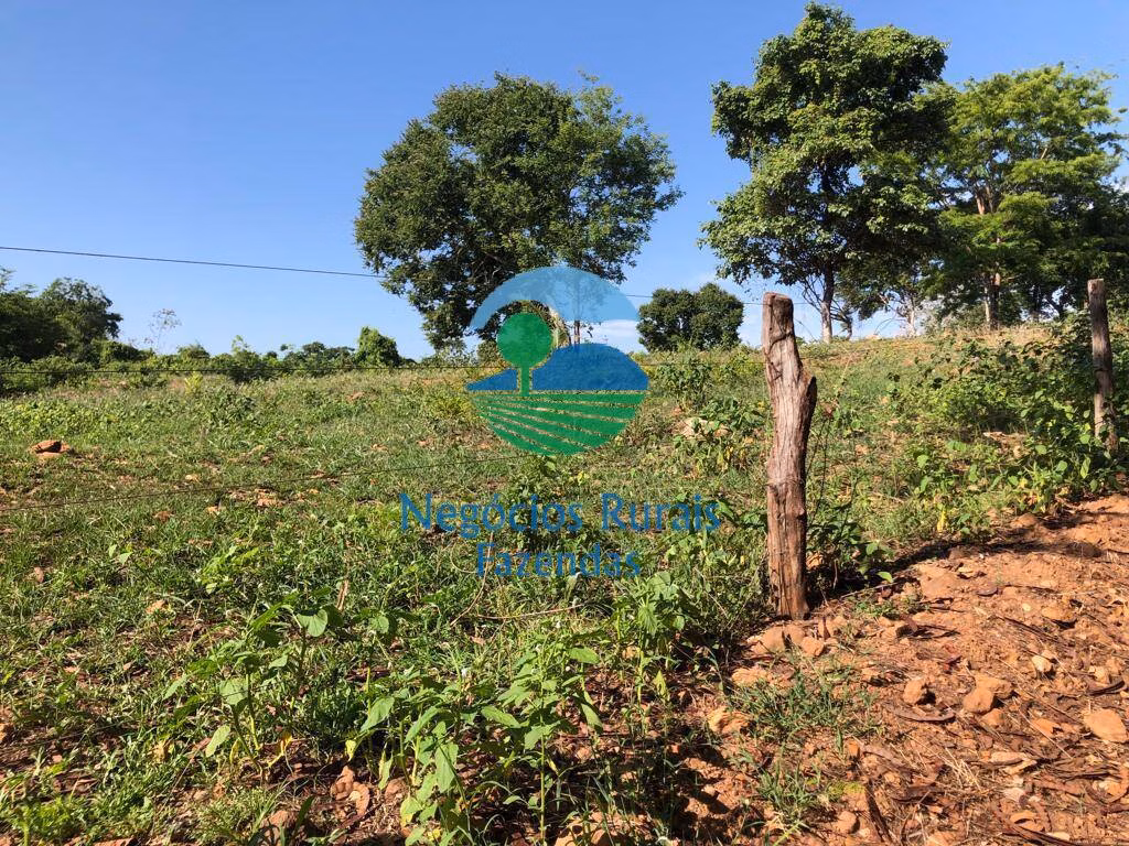 Fazenda de 1.258 ha em Palmeirópolis, TO