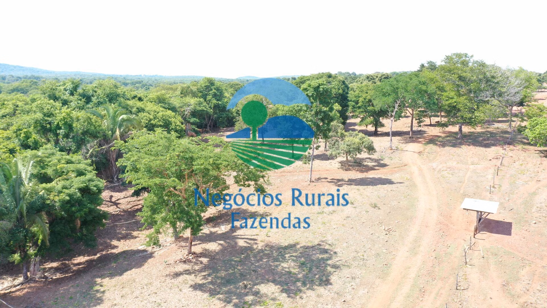 Fazenda de 1.258 ha em Palmeirópolis, TO