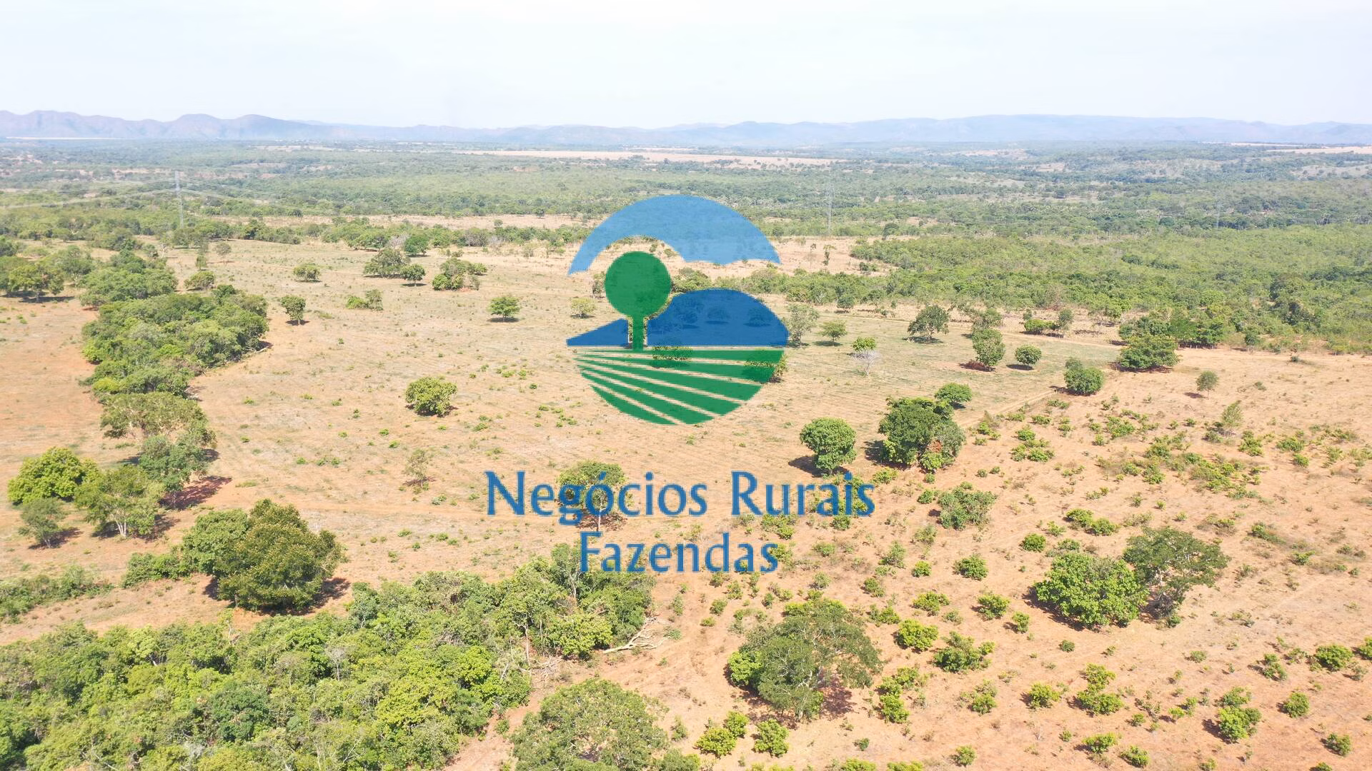 Fazenda de 1.258 ha em Palmeirópolis, TO