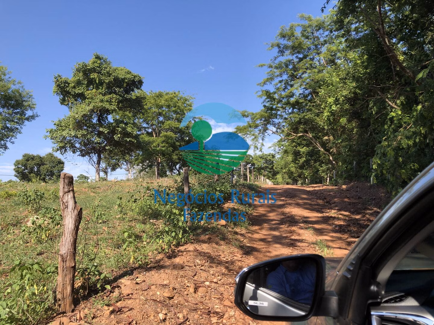 Fazenda de 1.258 ha em Palmeirópolis, TO