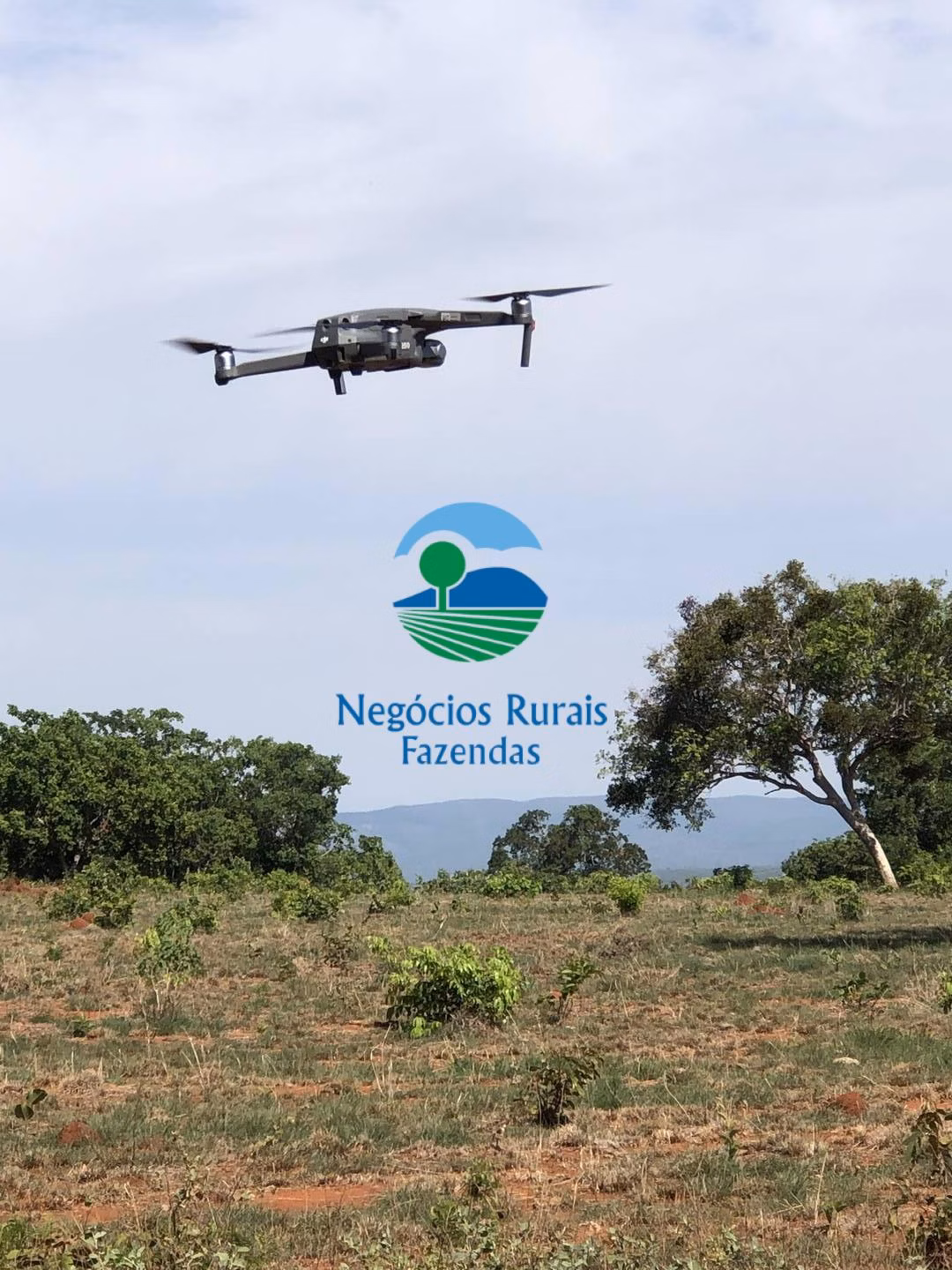 Fazenda de 1.258 ha em Palmeirópolis, TO