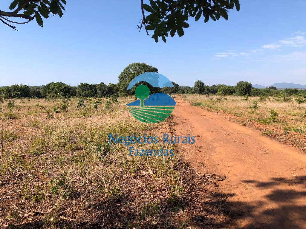 Fazenda de 1.258 ha em Palmeirópolis, TO