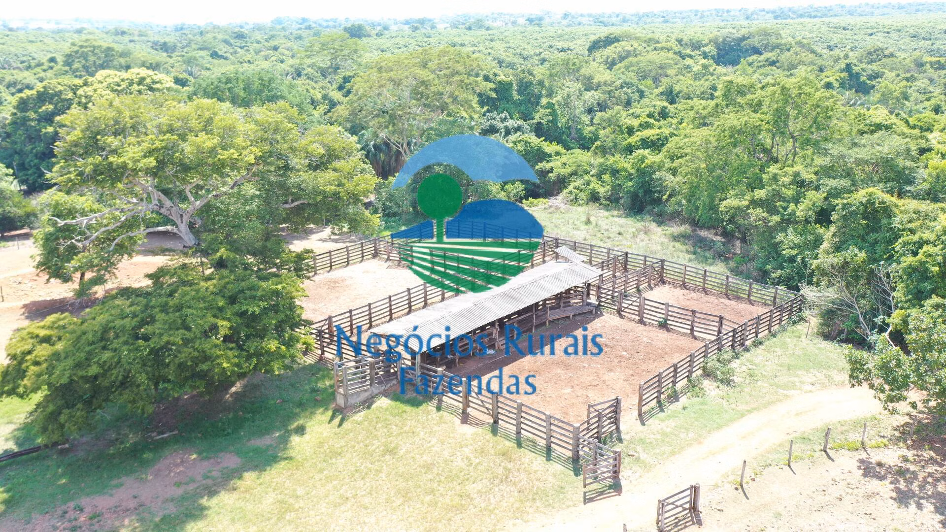 Fazenda de 1.258 ha em Palmeirópolis, TO