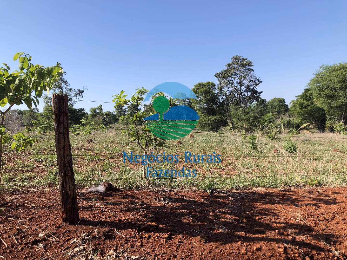 Fazenda de 1.258 ha em Palmeirópolis, TO