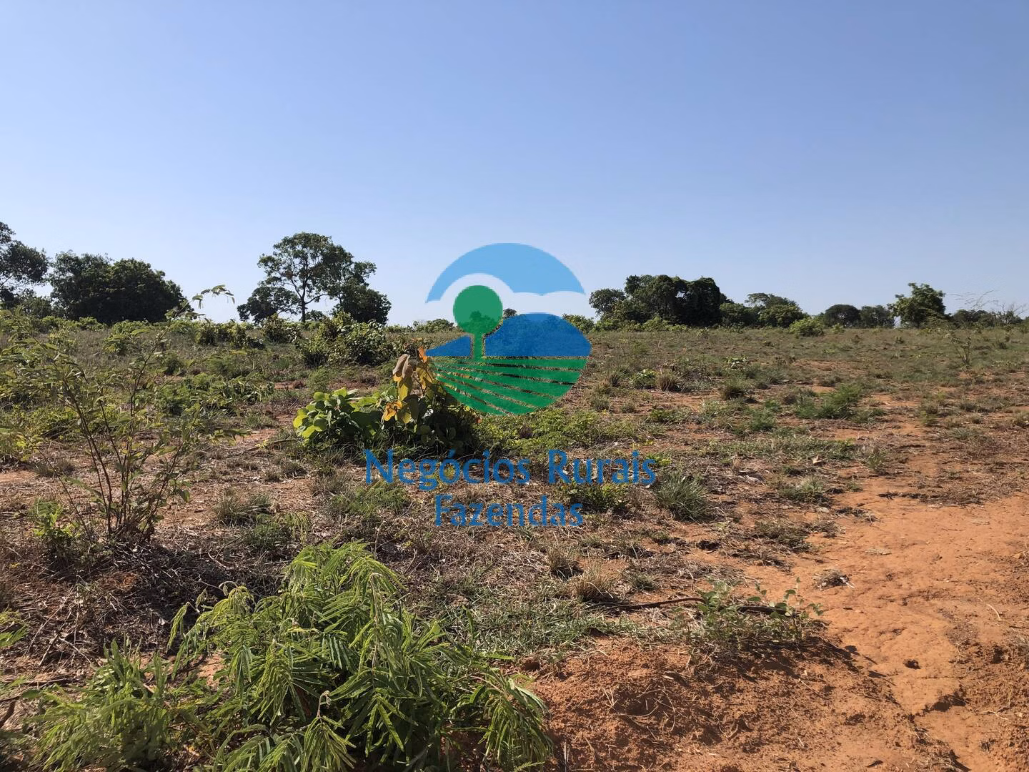 Fazenda de 1.258 ha em Palmeirópolis, TO