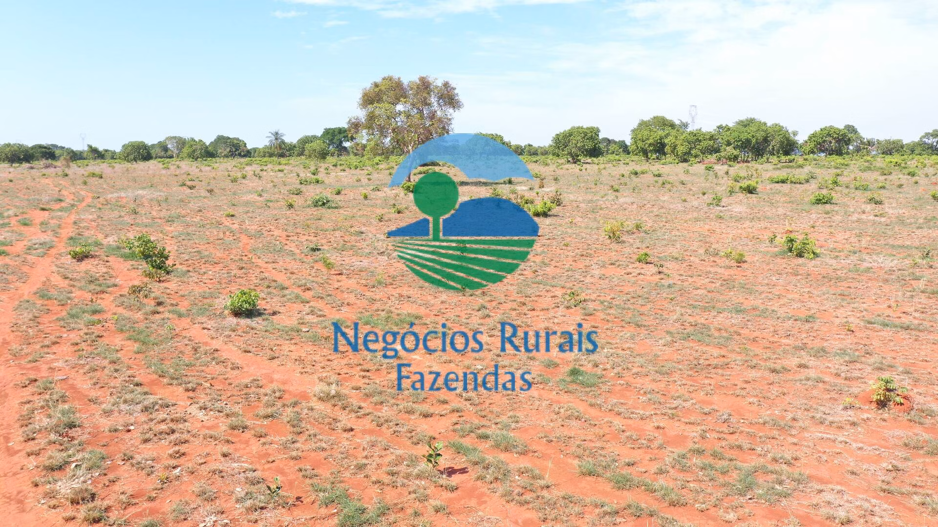 Fazenda de 1.258 ha em Palmeirópolis, TO