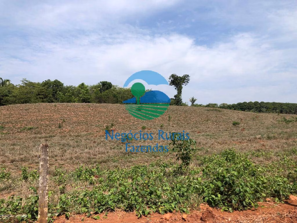 Fazenda de 1.258 ha em Palmeirópolis, TO