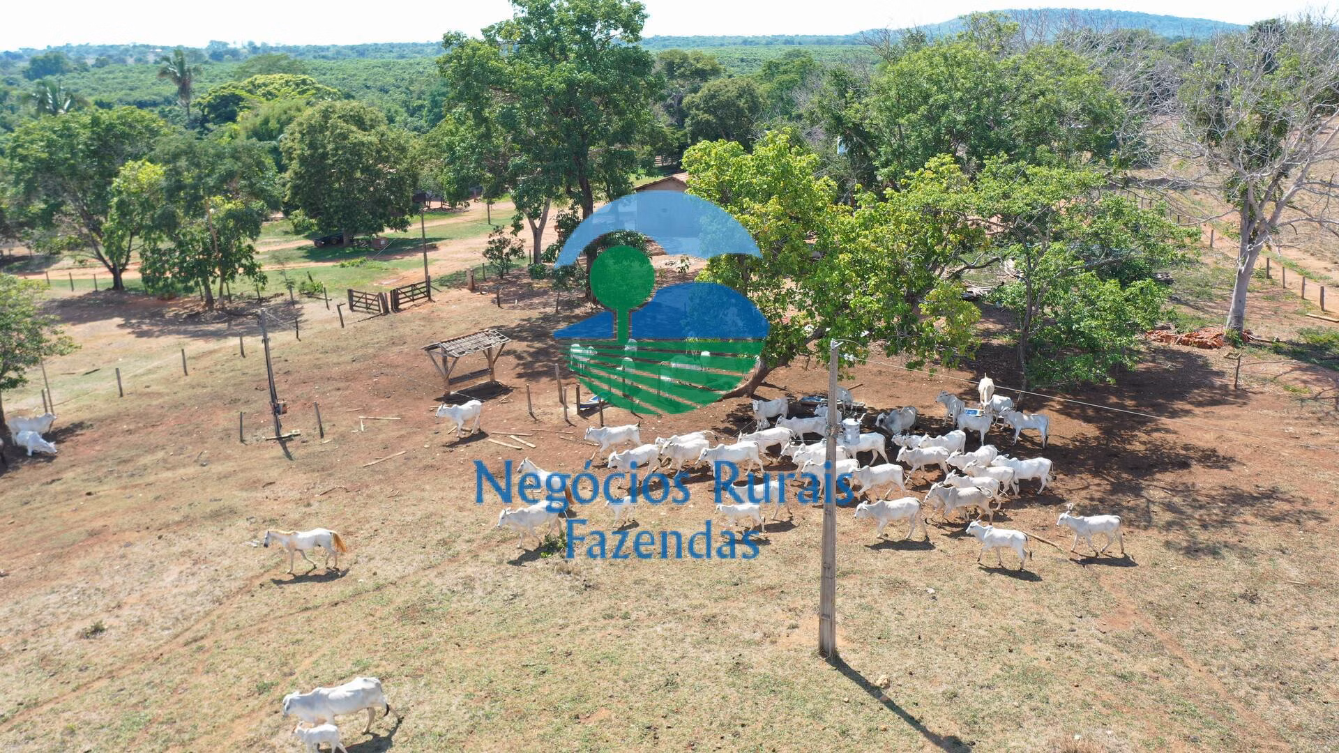 Fazenda de 1.258 ha em Palmeirópolis, TO