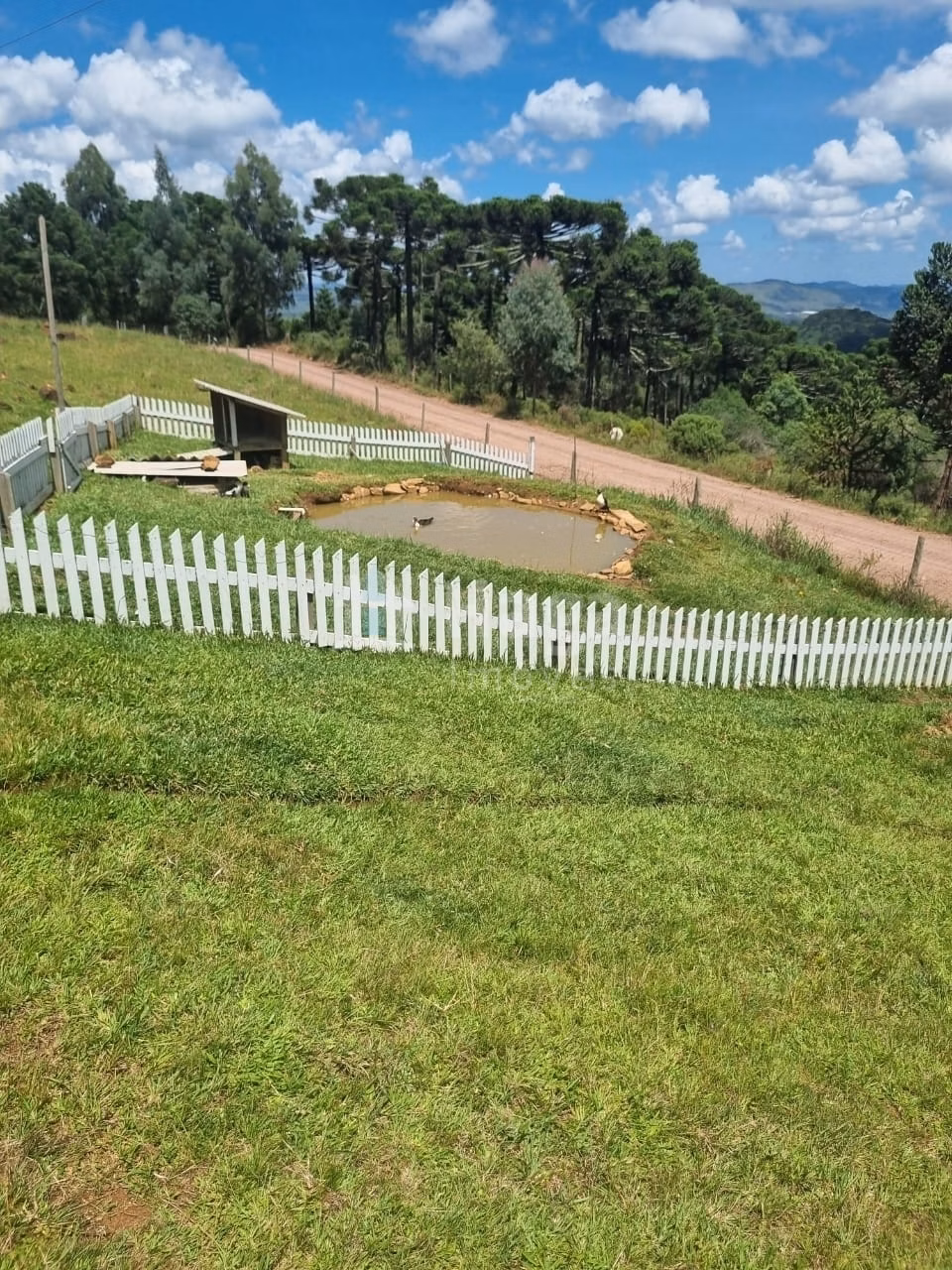 Fazenda de 31 ha em Bom Jardim da Serra, SC