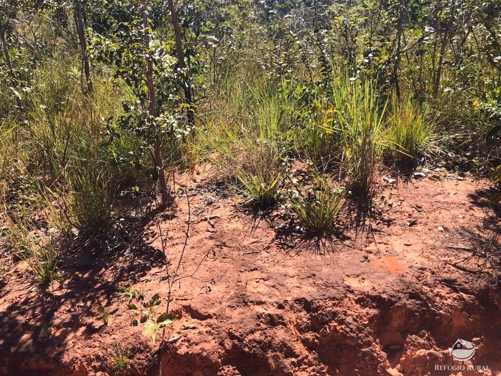 Farm of 23,920 acres in Lizarda, TO, Brazil