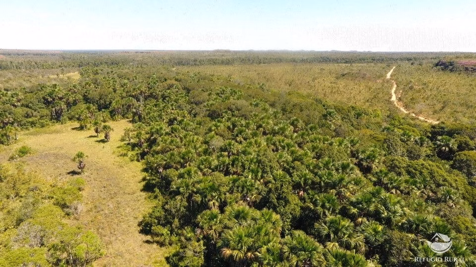 Farm of 23,920 acres in Lizarda, TO, Brazil