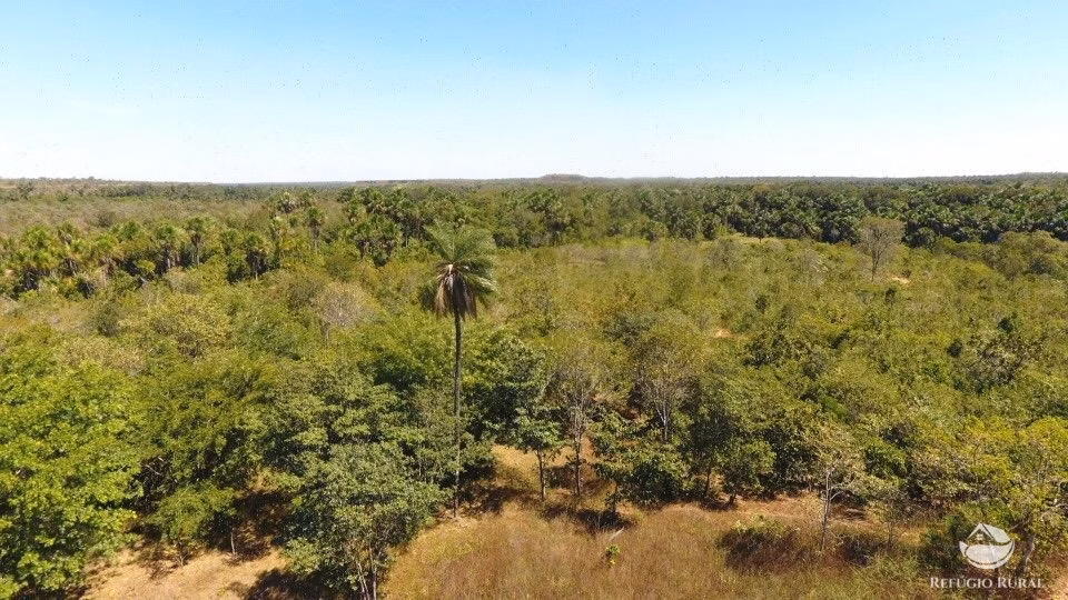 Farm of 23,920 acres in Lizarda, TO, Brazil