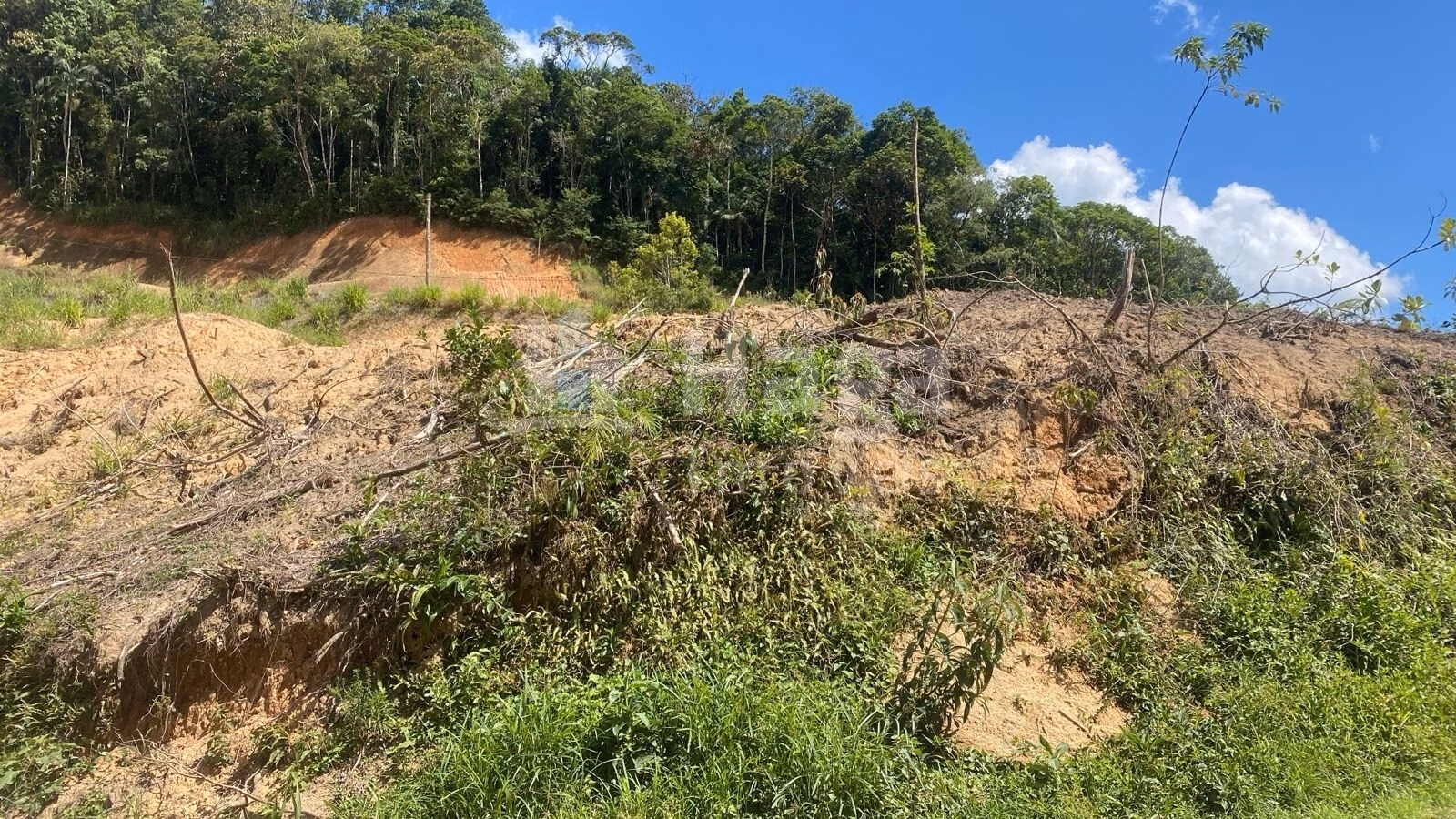 Terreno de 726 m² em Guabiruba, SC