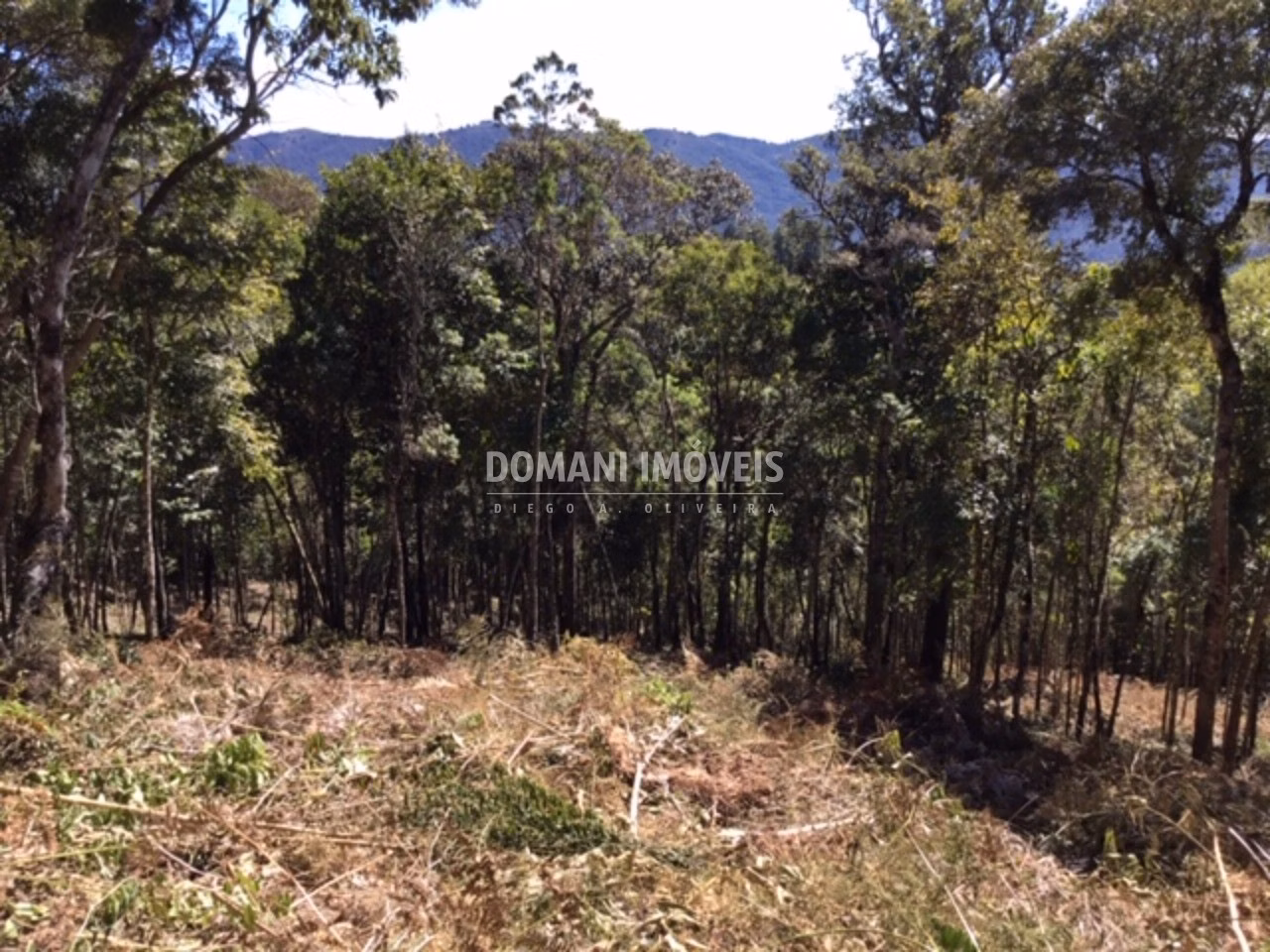 Plot of 2,690 m² in Campos do Jordão, SP, Brazil
